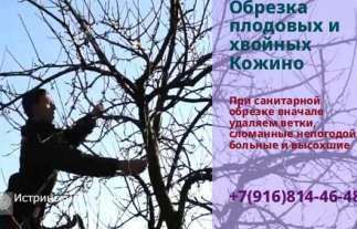 Ремонт и отделка в Истре и Истринском районе