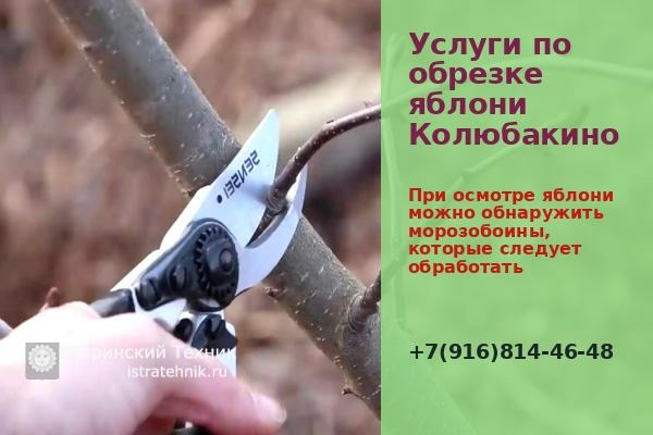 Ремонт и отделка в Истре и Истринском районе