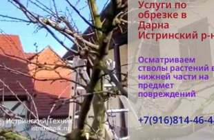 Ремонт и отделка в доме