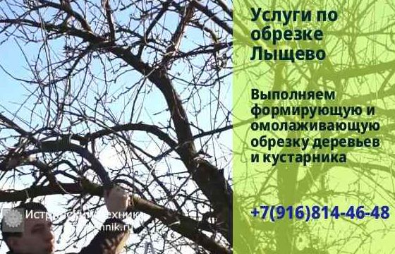 Обрезка деревьев, яблони и плодовых в Лыщево Истринский р-н, обработка, хвойники, услуги, для роста, кустарник
