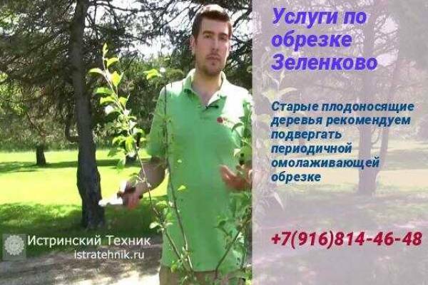 Обрезка деревьев в Зеленково Истринский р-н, яблони и плодовых, обработка, хвойники, услуги, растений, кустарник