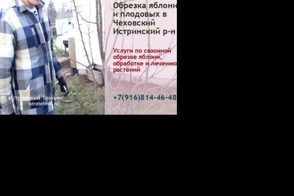 Обрезка яблони Чеховский, плодовых и фруктовых деревьев, кустарник, хвойные, рябина, услуги садовника