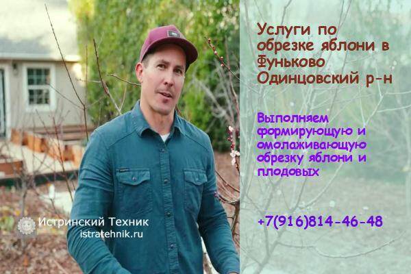 Обрезка яблони Фуньково, плодовых и фруктовых деревьев, кустарник, хвойные, сливы, услуги садовника