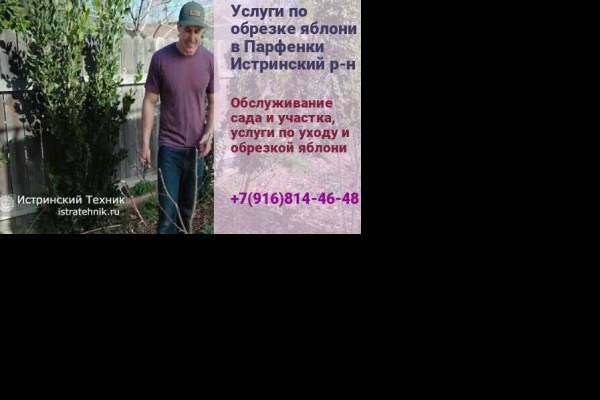 Обрезка яблони Парфенки, плодовых и фруктовых деревьев, кустарник, хвойные, для роста, услуги садовника