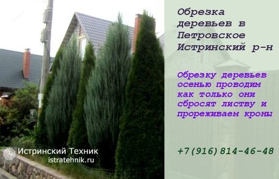 Строительство дома коттеджа в Истринском районе, Истре и Московской области, фундамент из бетона, отделка облицовка фасадов и кровля, ремонт