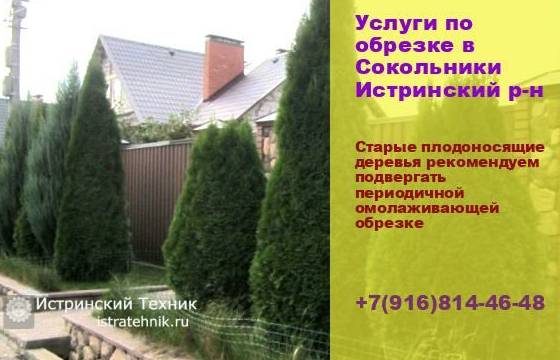 Кадастровое оформление недвижимости, межевание в Истринском районе, Истре и Московской области раздел участка инженер, поставить на учет - 4